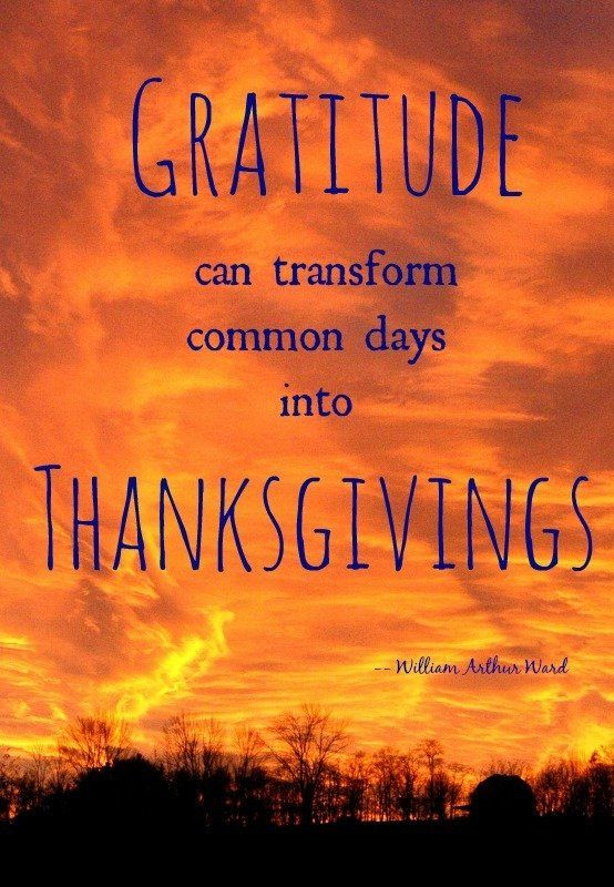Thanksgiving Quotes Blessed
 16 Thanksgiving Quotes About Gratitude & Grace
