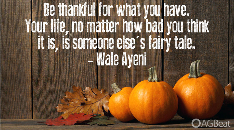 Thanksgiving Quotes For Business
 10 Thanksgiving quotes as pictures to share on your social