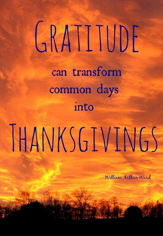 Thanksgiving Quotes Gratitude
 A beautiful quote that isn t JUST for Thanksgiving