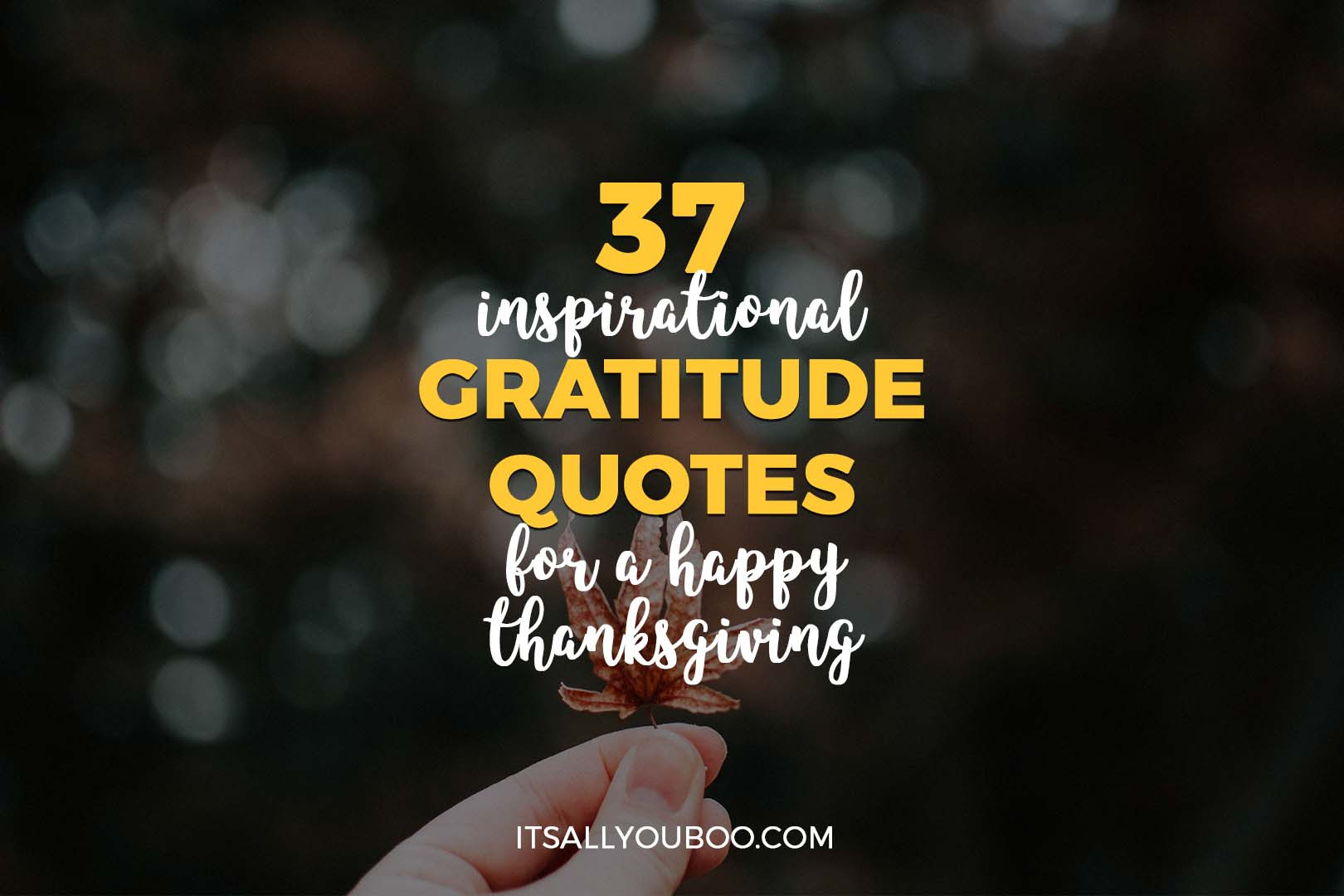 Thanksgiving Quotes Gratitude
 37 Inspirational Gratitude Quotes for a Happy Thanksgiving