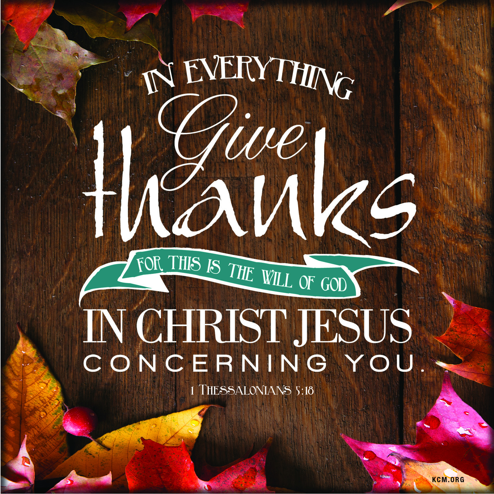Thanksgiving Quotes Jesus
 Pin on Faith