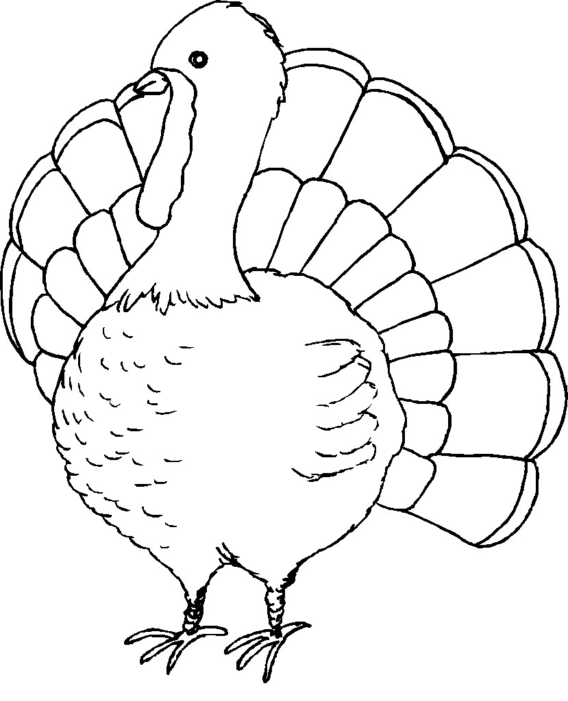 Thanksgiving Turkey Coloring Pages
 Cool Thanksgiving Coloring Pages For Children