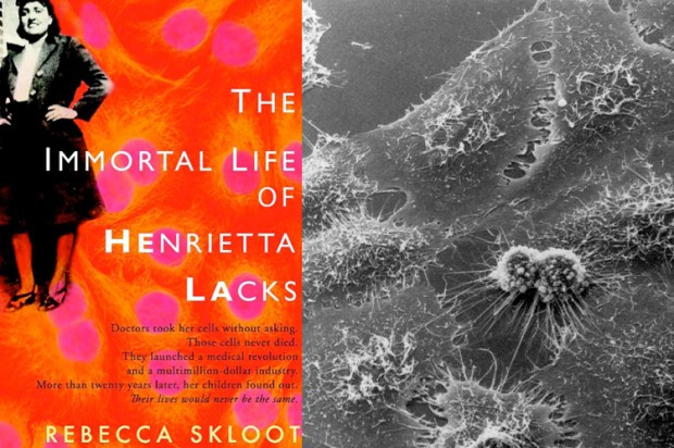 The Immortal Life Of Henrietta Lacks Quotes
 Rebecca Skloot Quotes QuotesGram