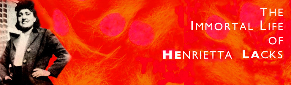 The Immortal Life Of Henrietta Lacks Quotes
 The ethical concerns in the immortal life of henrietta