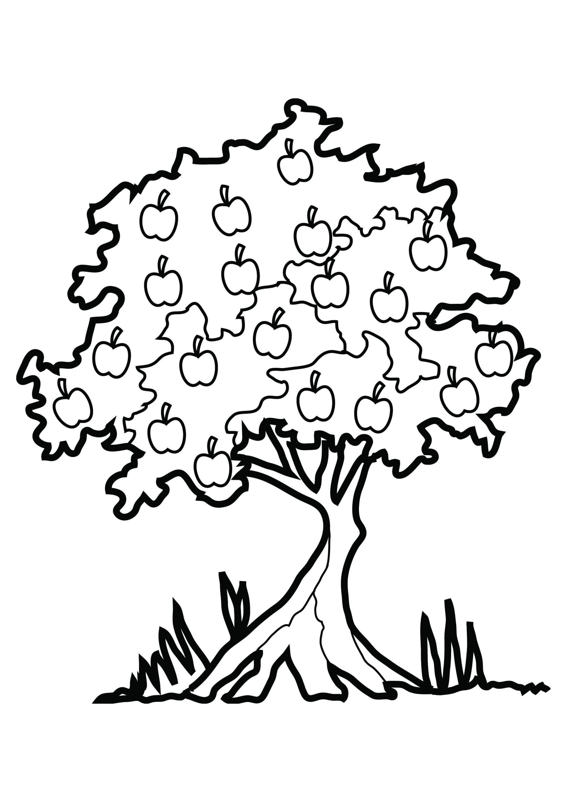 Tree Coloring Pages For Kids
 Free Printable Tree Coloring Pages For Kids