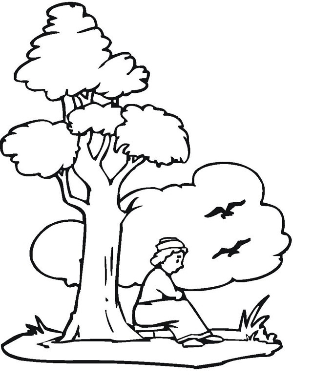 Tree Coloring Pages For Kids
 Free Printable Tree Coloring Pages For Kids
