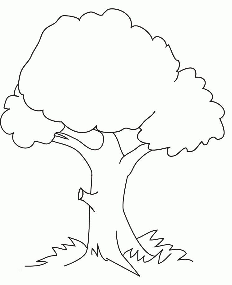 Tree Coloring Pages For Kids
 Trees Coloring Pages Kidsuki
