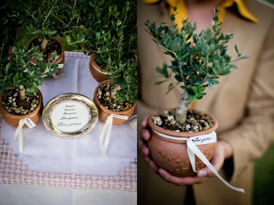 Tree Wedding Favors
 Italian Wedding Favors Ideas Creative Italian Weddings