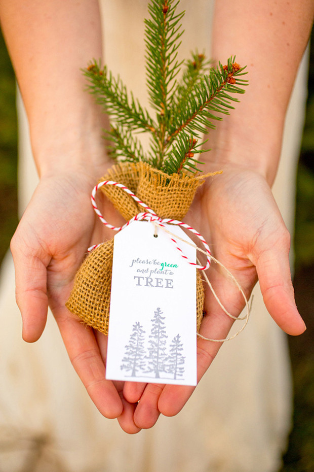 Tree Wedding Favors
 10 Oh So Lovely Winter Wedding Favours