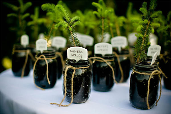 Tree Wedding Favors
 Fabulous Eco Friendly Favors That Never Go Out of Style