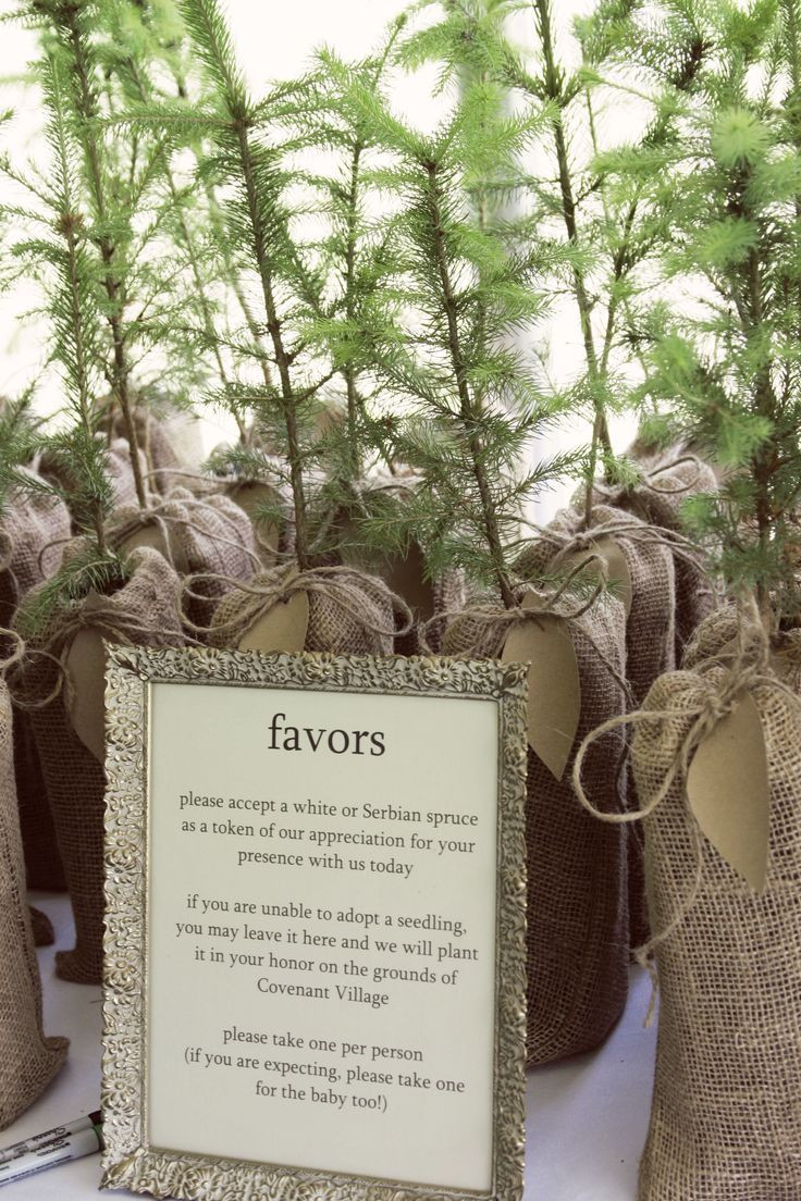 Tree Wedding Favors
 Pin by Lucie Gotha on lucie gotha