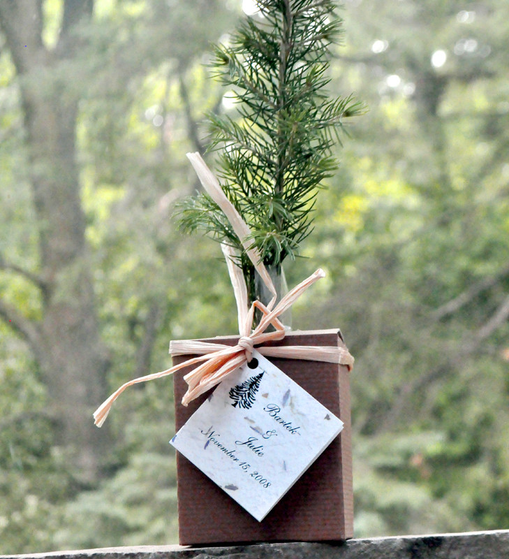 Tree Wedding Favors
 fall wedding ideas Plant a Memory – Favors & Gifts