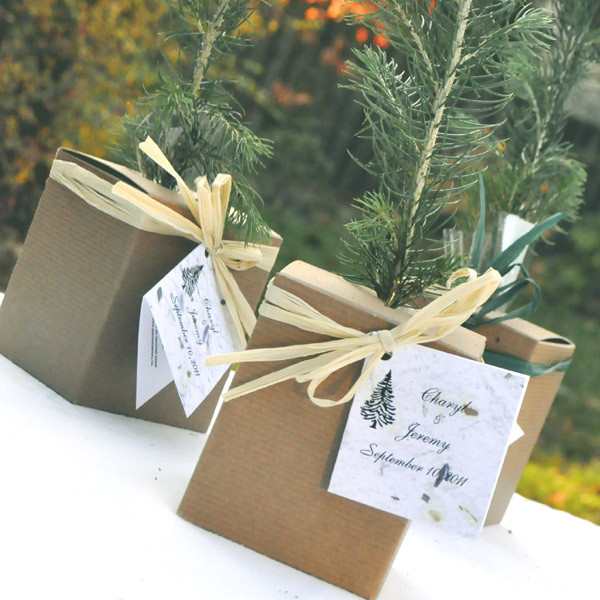 Tree Wedding Favors
 wedding trees Plant a Memory – Favors & Gifts