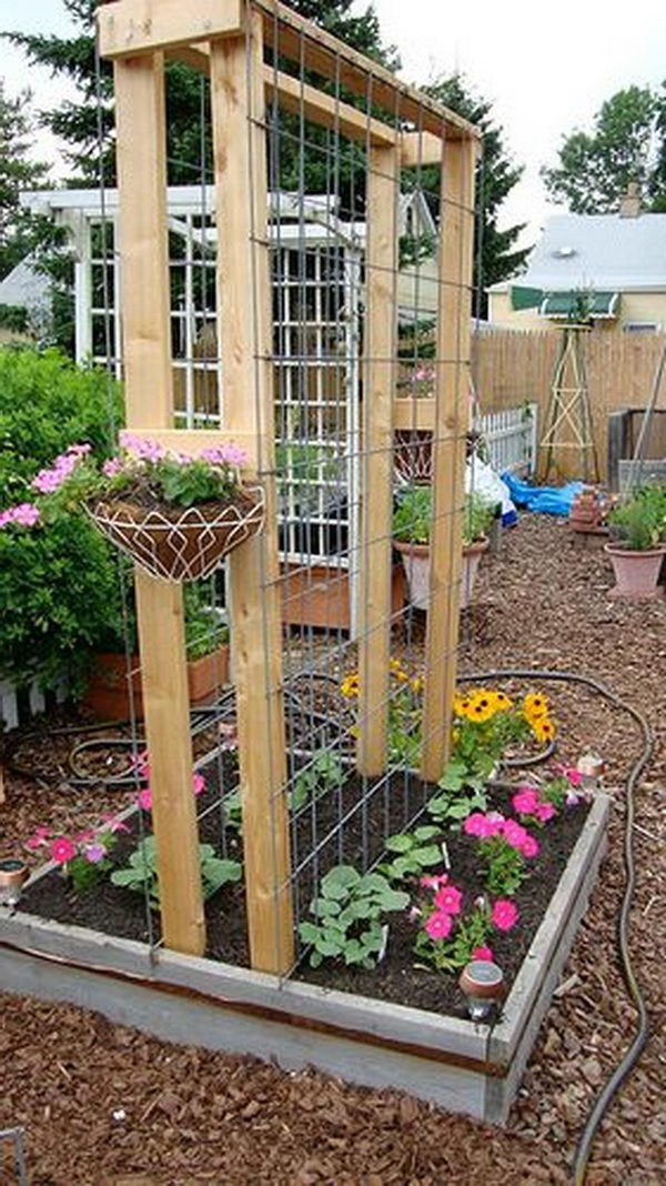 Trellis Plans DIY
 30 DIY Trellis Ideas for Your Garden 2017