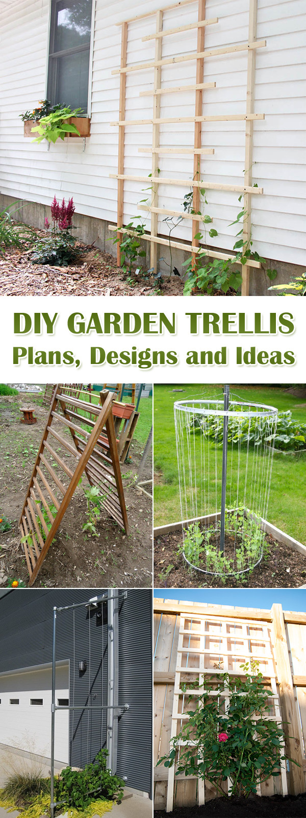 Trellis Plans DIY
 12 DIY Garden Trellis Plans Designs and Ideas