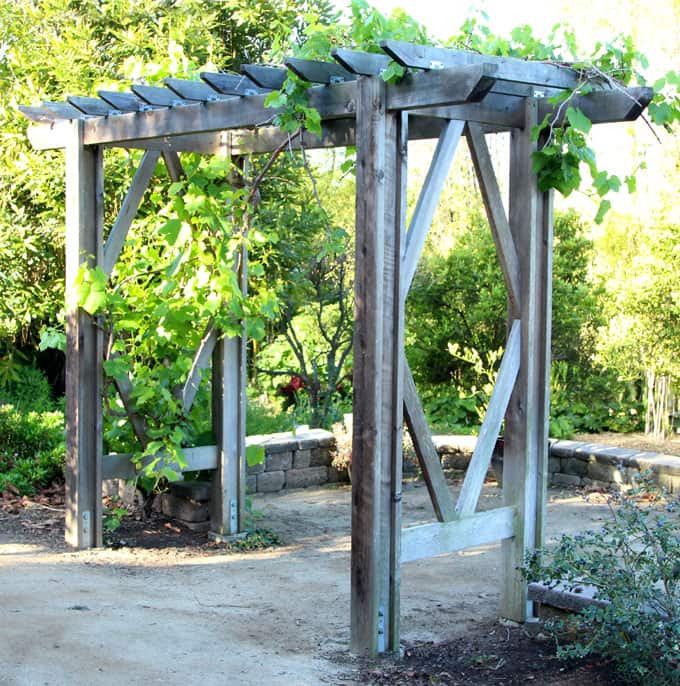 Trellis Plans DIY
 Simple DIY Pergola Grape Arbor Free Building Plan A