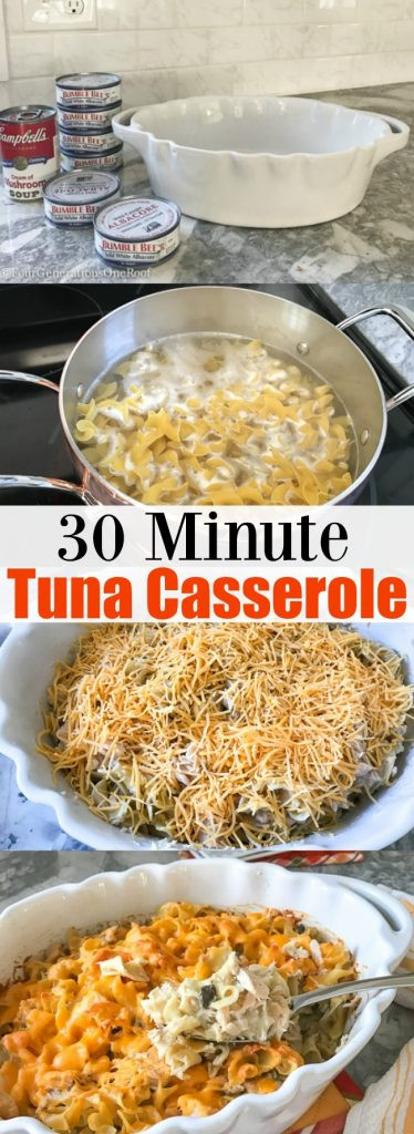 Tuna Noodle Casserole Recipe Mushroom Soup
 Easy Tuna Casserole Recipe Four Generations e Roof