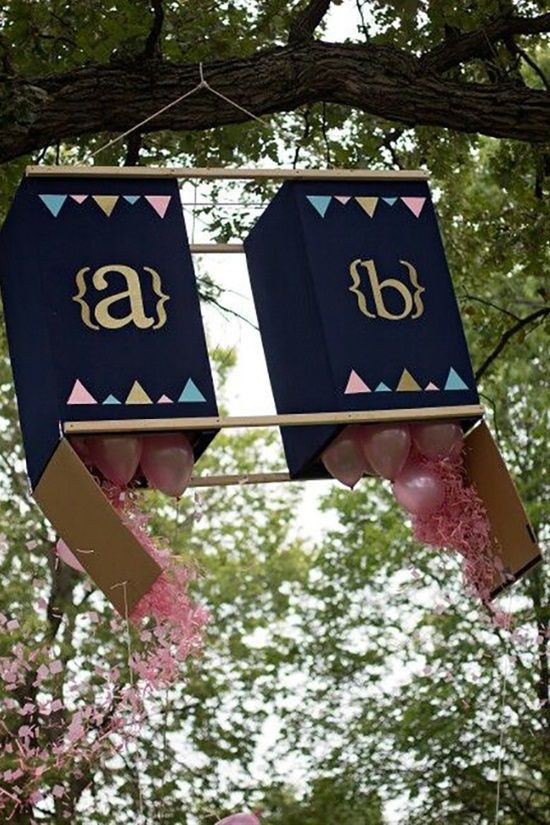 Twins Gender Reveal Party Ideas
 15 Creative Ideas For Gender Reveal graphy