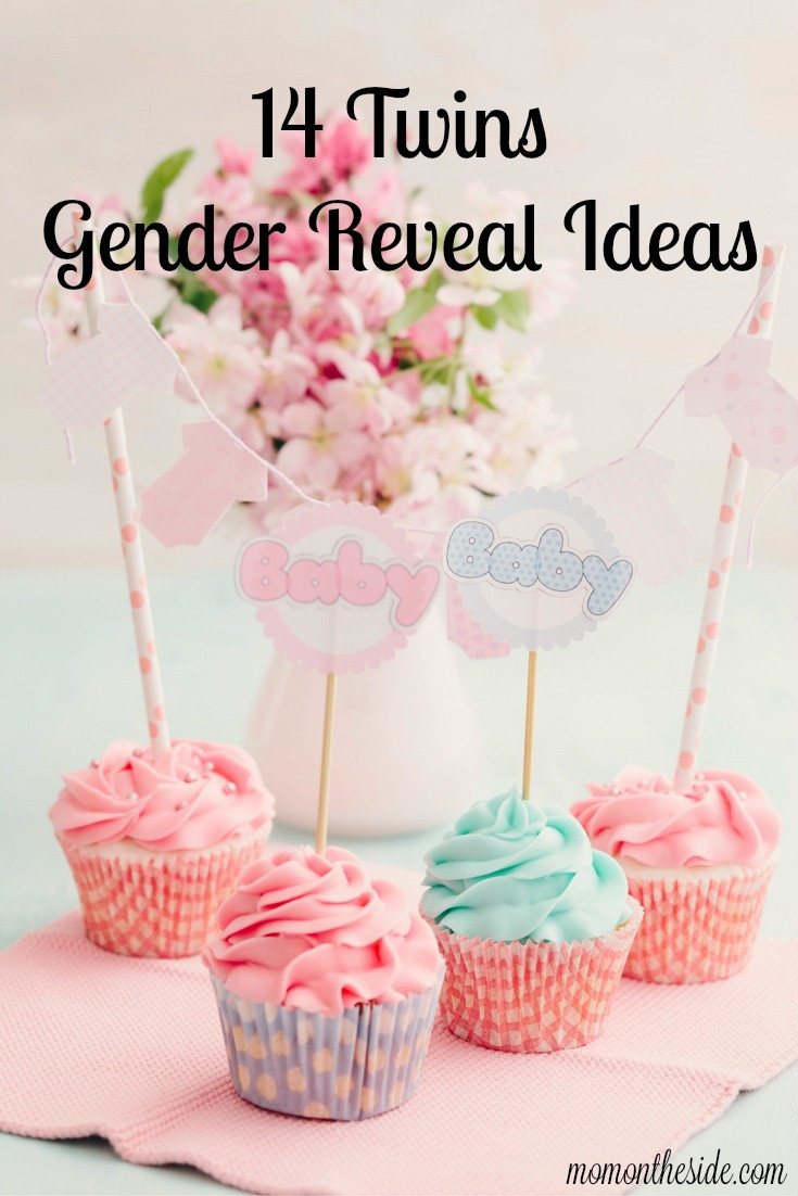 Twins Gender Reveal Party Ideas
 14 Twins Gender Reveal Ideas to Announce the Exciting News