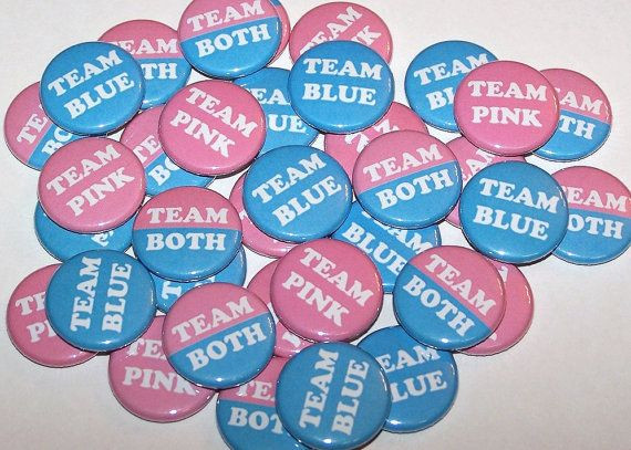 Twins Gender Reveal Party Ideas
 Twins Team Pink Team Blue Team Both Gender Reveal Party