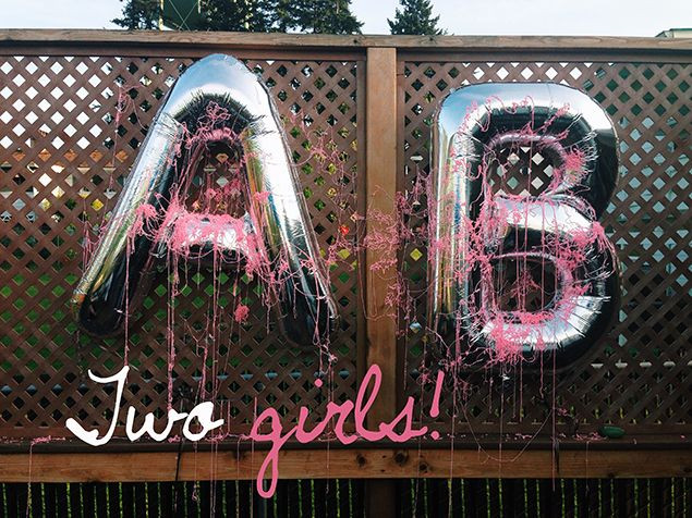 Twins Gender Reveal Party Ideas
 Twin baby gender reveal