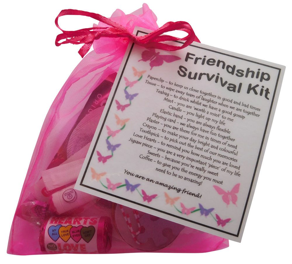 Unique Gift Ideas Best Friends
 Friendship BFF Best Friend Survival kit t unique