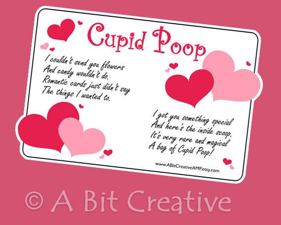 Valentine Gag Gift Ideas
 Cupid Poop Valentines Day Sweetheart Gag Gift Design DIY