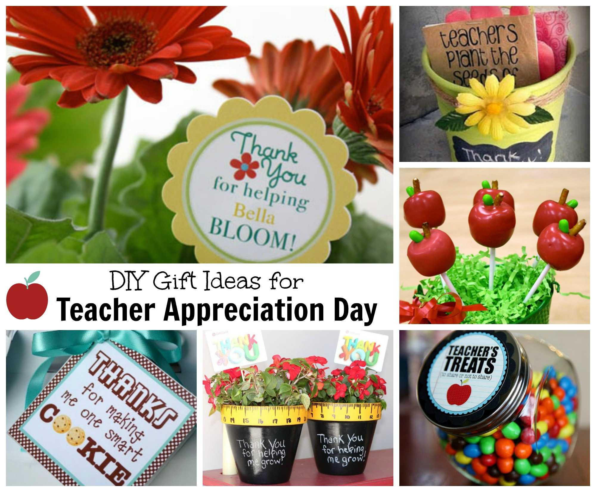 Valentine'S Day Gift Ideas For Teachers
 Teacher Appreciation Gift Ideas