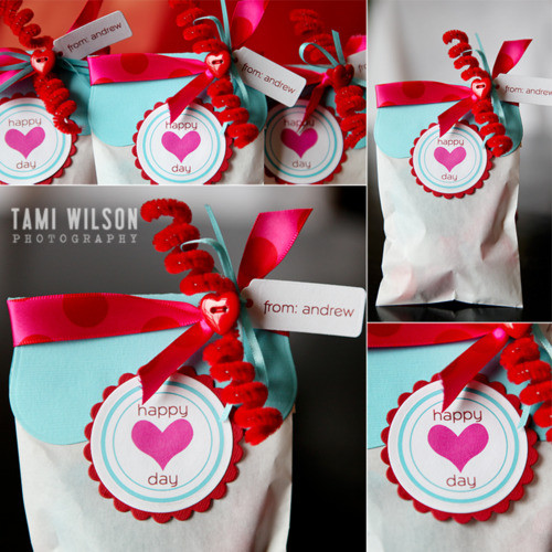 Valentines Gift Bag Ideas
 It s Written on the Wall Freebies DIY Clever Valentines