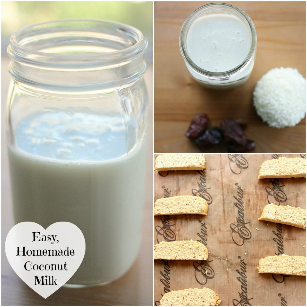 Vegan Coconut Milk Recipes
 Quick Easy and Delicious Homemade Coconut Milk Bonus