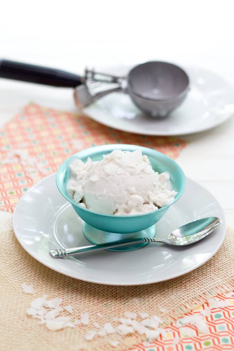 Vegan Coconut Milk Recipes
 10 Best Coconut Milk Ice Cream Vegan Recipes
