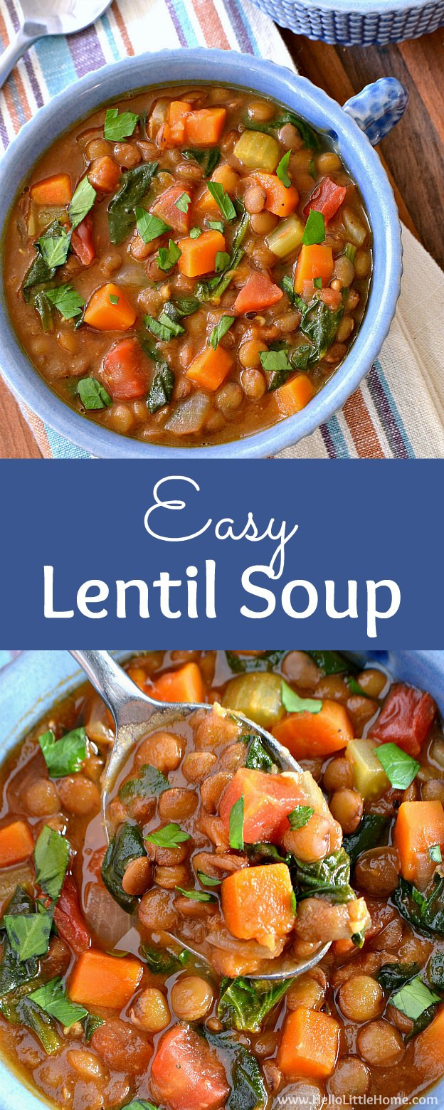Vegan Soup Recipes Easy
 Easy Lentil Soup