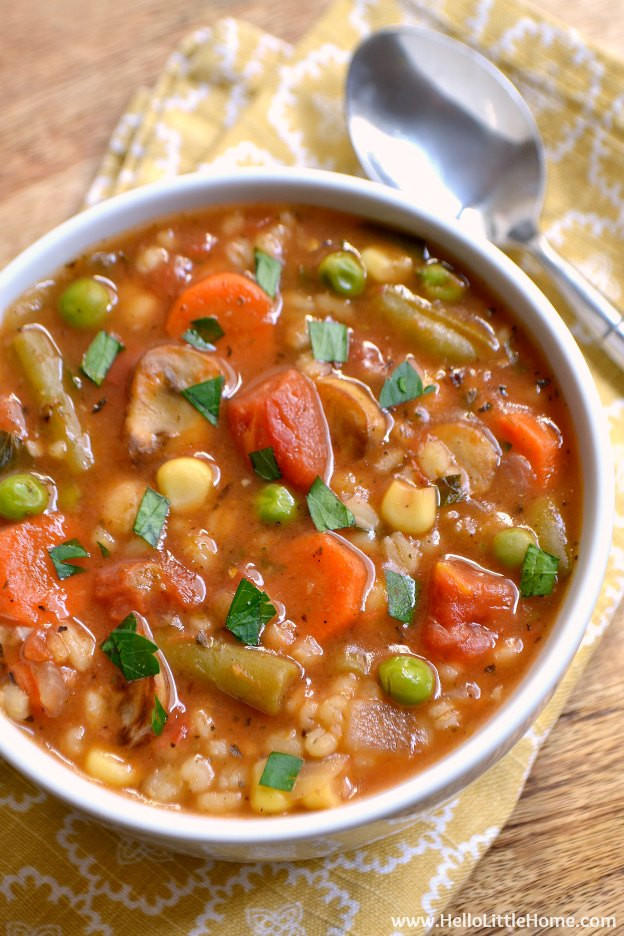 Vegan Soup Recipes Easy
 Ve able Barley Soup