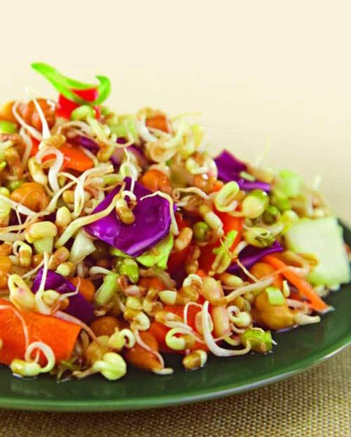 Vegetable Salad Recipes For Weight Loss
 Sprouts and Ve able Salad Weight Loss After Pregnancy