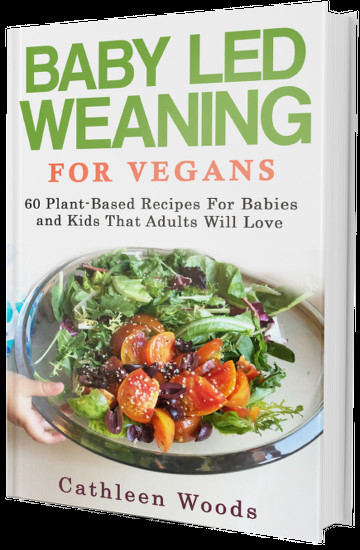 Vegetarian Recipes For Baby
 Baby Led Weaning Recipes for Vegans