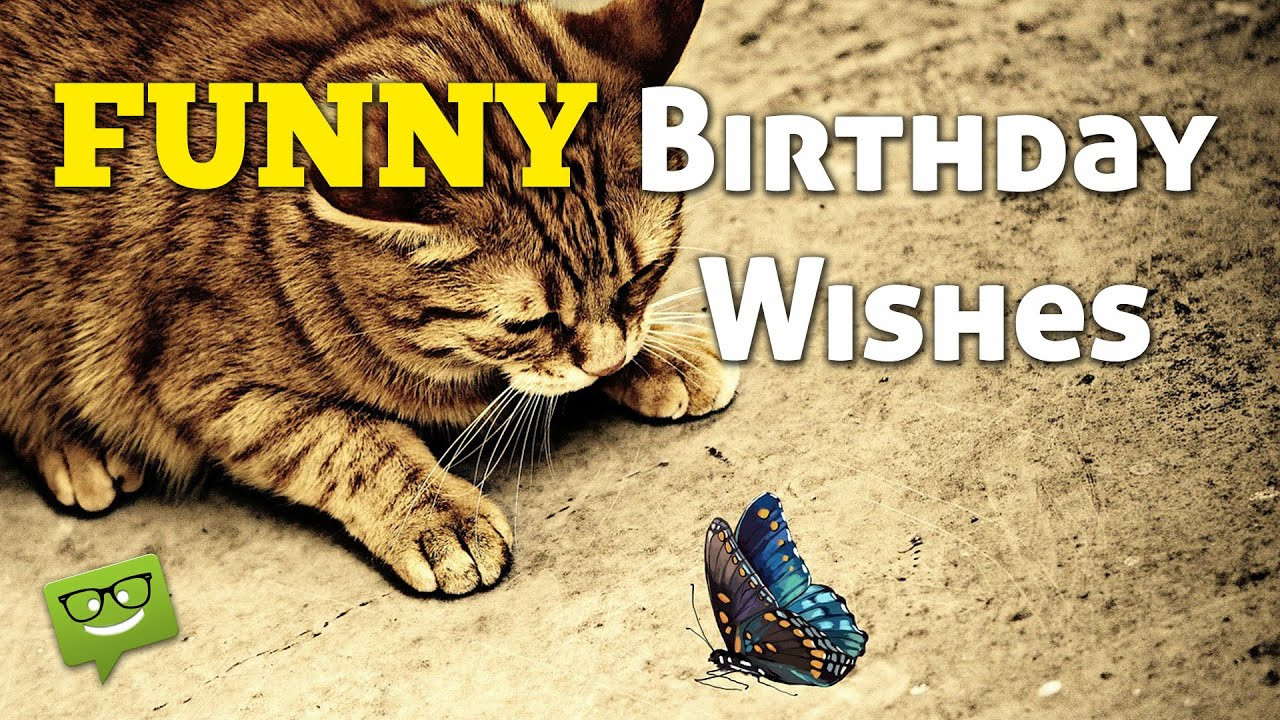 Very Funny Birthday Wishes
 Funny Birthday Wishes