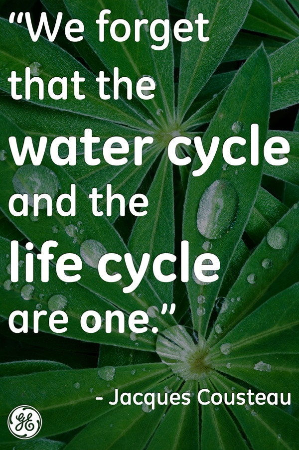 Water Is Life Quotes
 Quotes About The Water Cycle QuotesGram