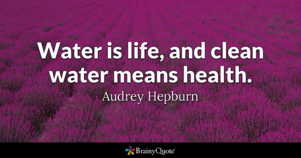 Water Is Life Quotes
 Water is life and clean water means health Audrey