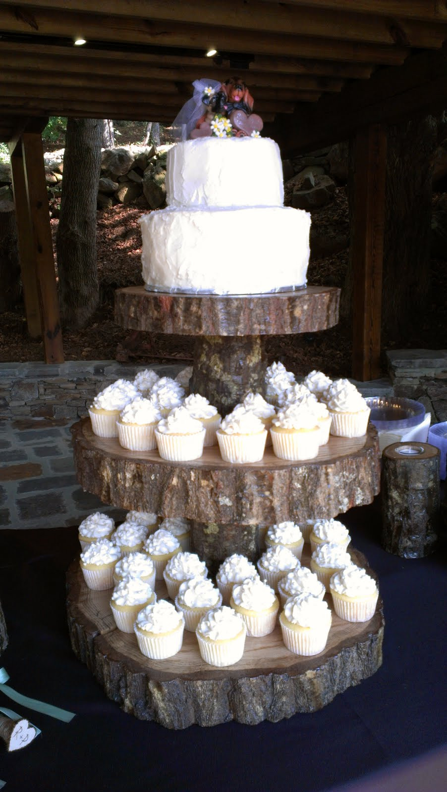 Wedding Cakes Cupcakes
 Sarah s Sweet Cakes Rustic Wedding Cake & Cupcakes