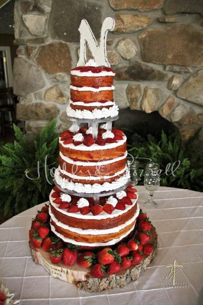 Wedding Cakes Jackson Ms
 Cakes by Tina s Wedding Cake Mississippi