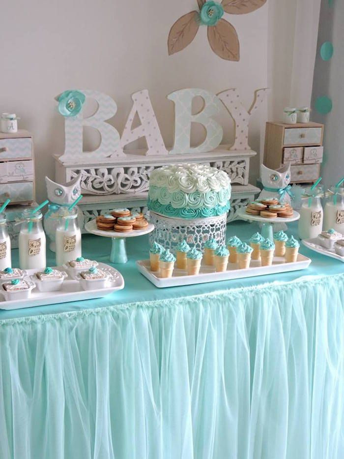 Welcome Home Baby Party
 Turquoise Owl "Wel e Home Baby" Party via Kara s Party