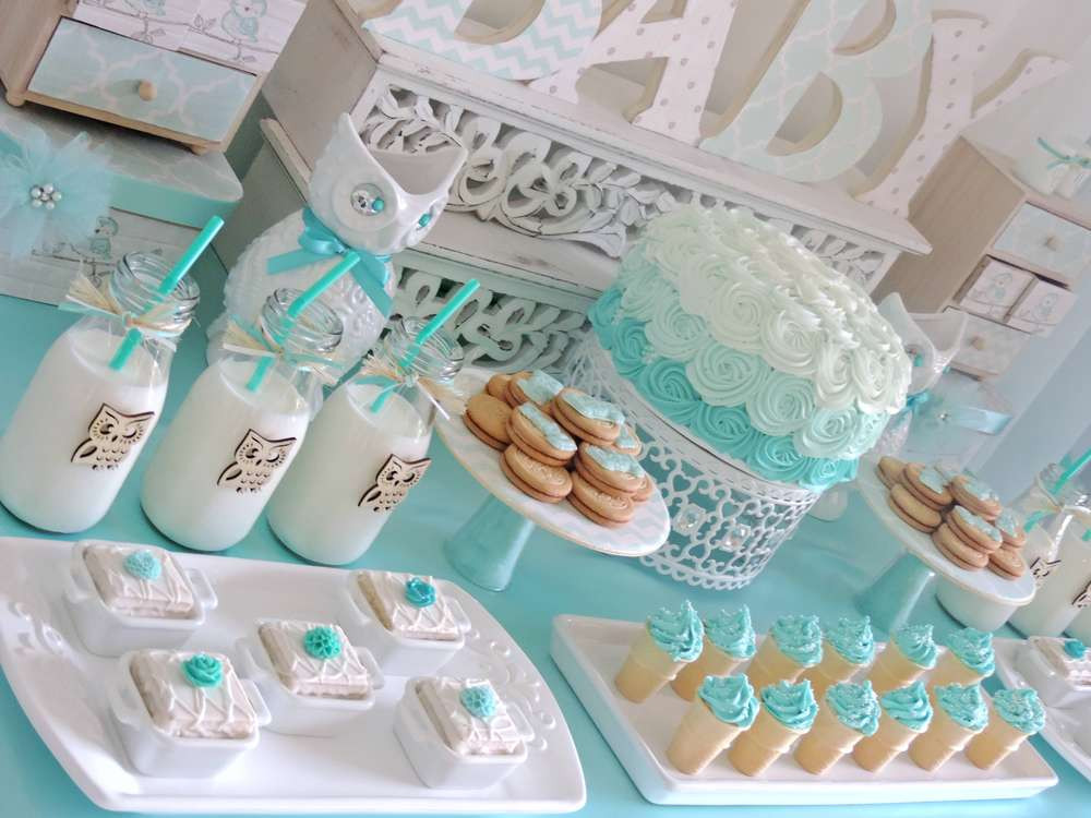 Welcome Home Baby Party
 Wel e Home Baby Owl Shower Baby Shower Ideas Themes