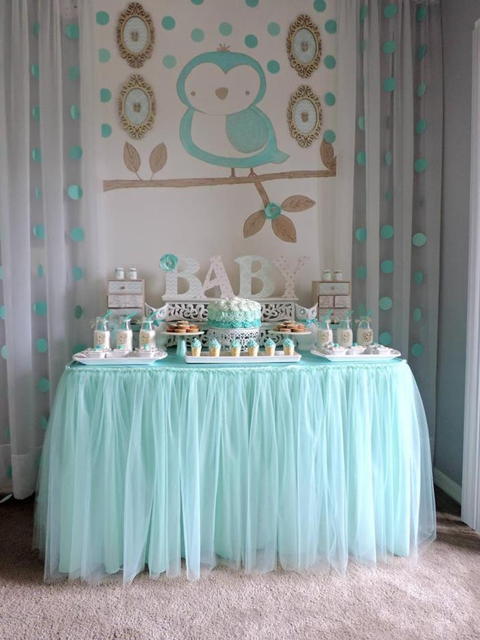 Welcome Home Baby Party
 Kara s Party Ideas Turquoise Owl "Wel e Home Baby" Party