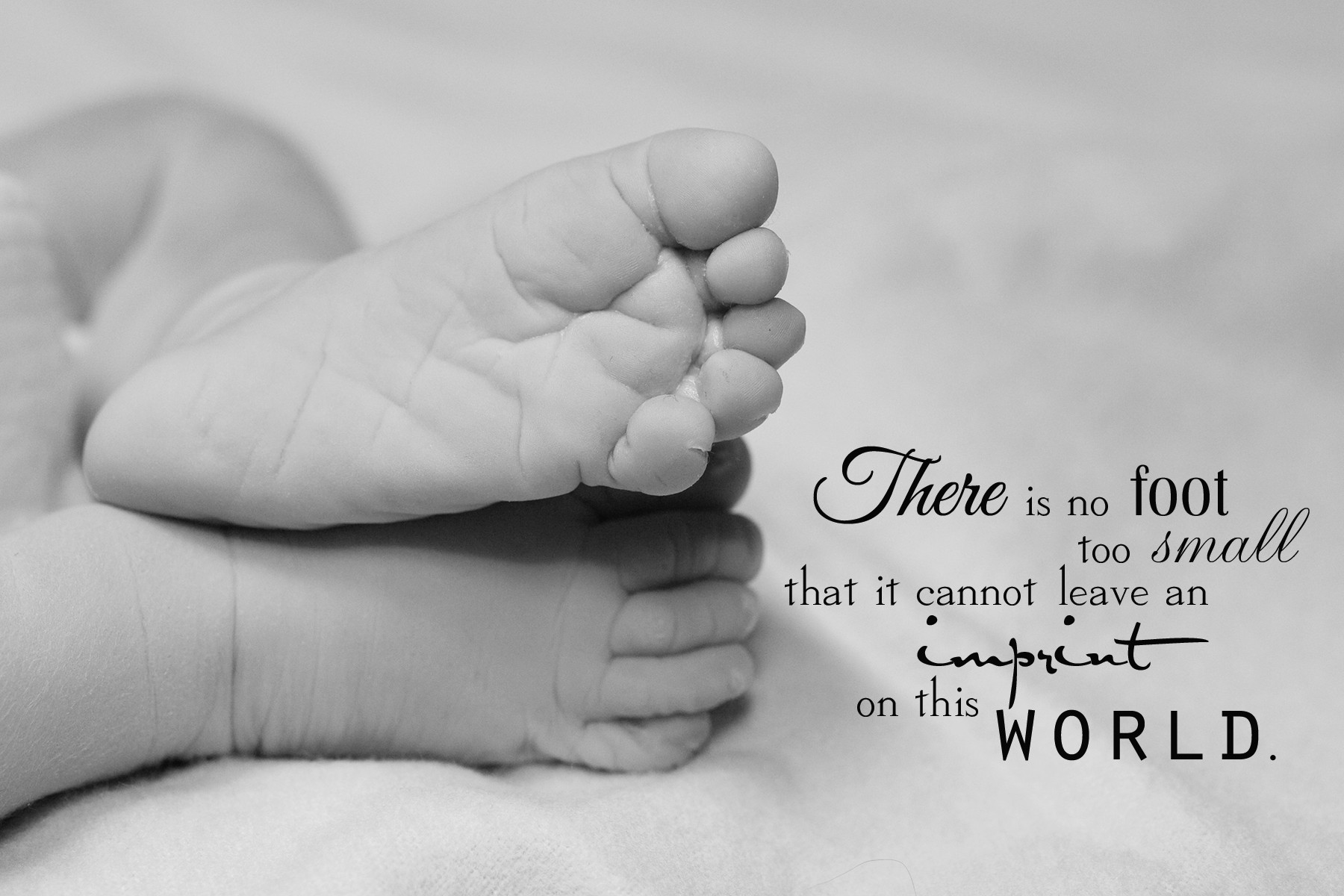 When Someone Dies A Baby Is Born Quote
 Words of Wisdom