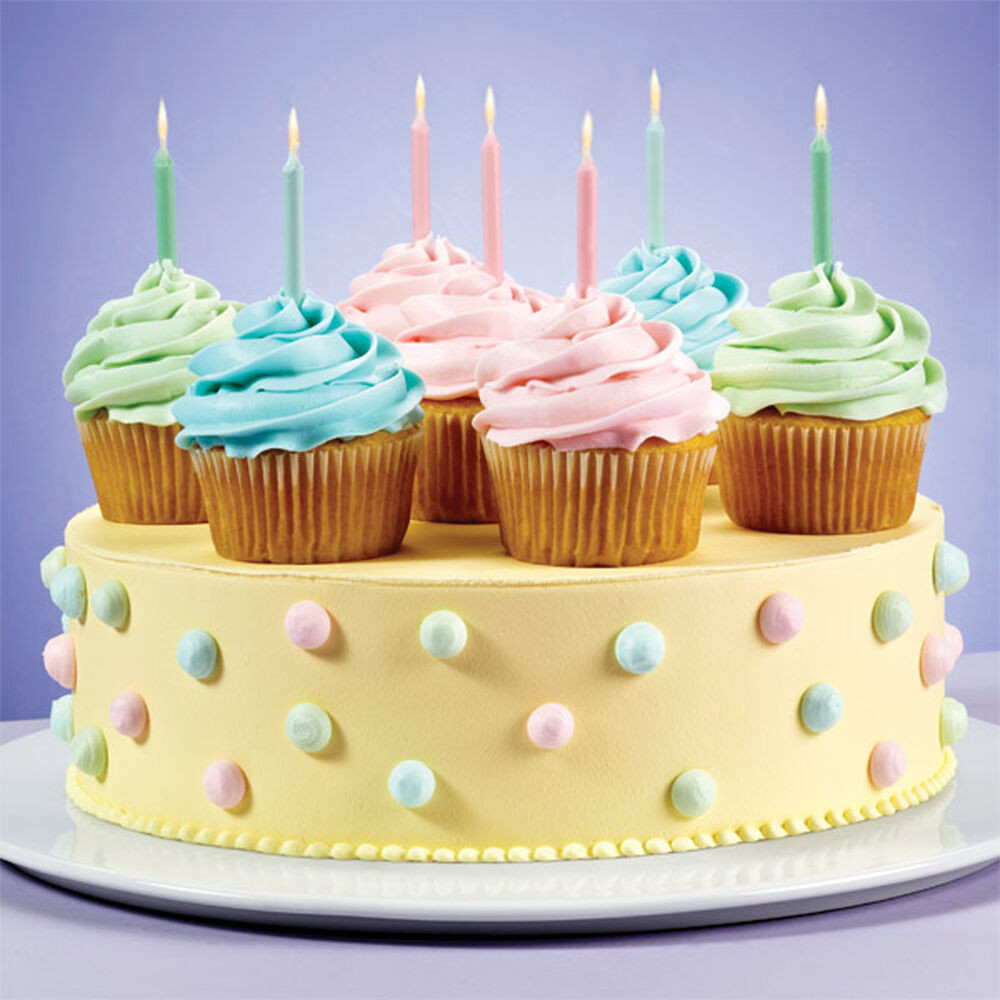 Wilton Birthday Cakes
 Pretty Party Cupcakes & Cake