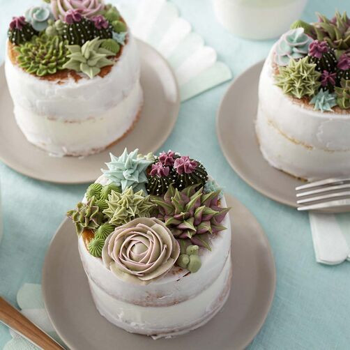 Wilton Birthday Cakes
 Stunning Succulent Cakes