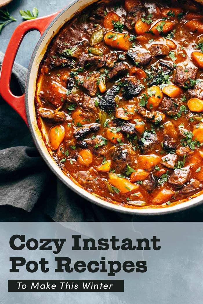 Winter Instant Pot Recipes
 21 Easy Instant Pot Recipes To Make This Winter
