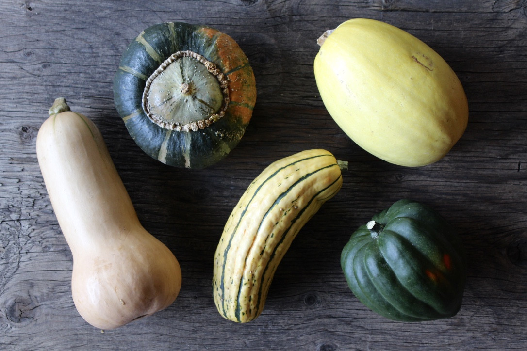 Winter Squash Nutrition
 How to Cook with Winter Squash Stephanie Kay