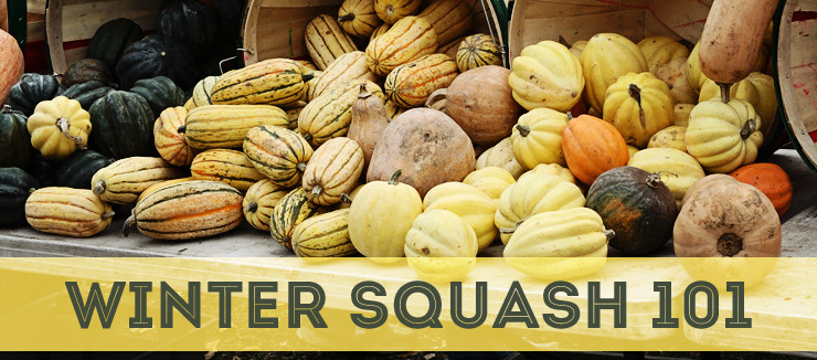 Winter Squash Nutrition
 Object moved