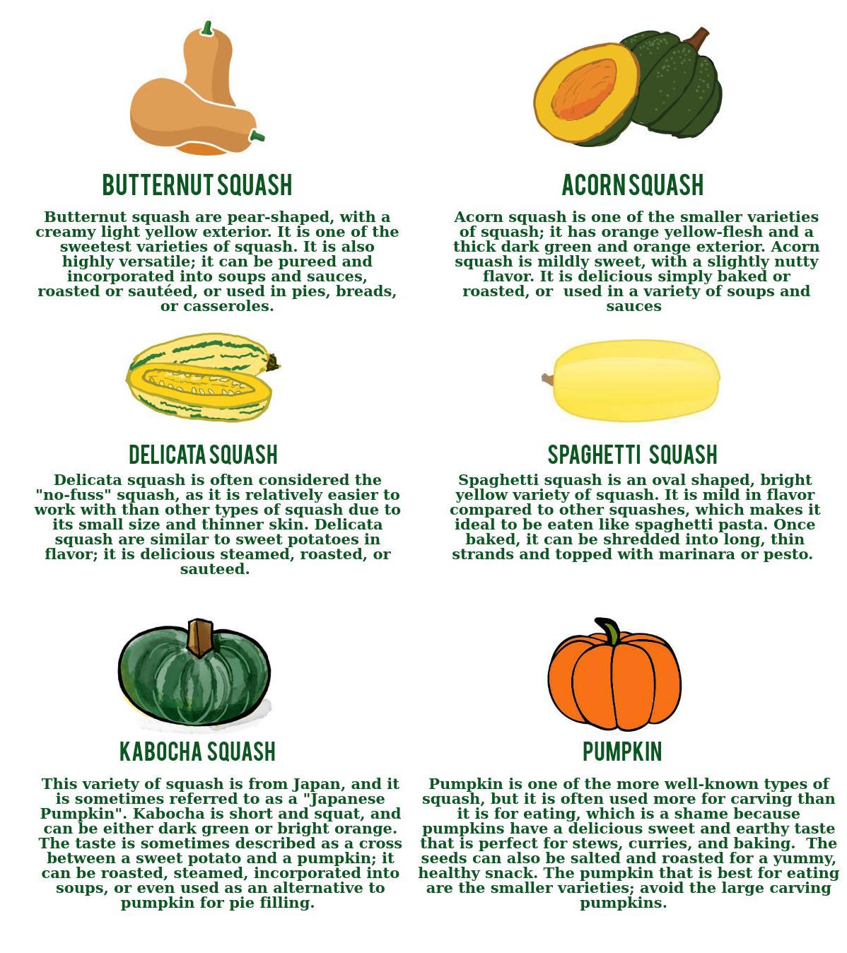 Winter Squash Nutrition
 What’s the deal with Winter Squash